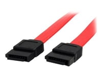StarTech.com Câble SATA de 15 cm - Cordon Serial ATA en rouge - Câble SATA - Serial ATA 150/300 - SATA (F) pour SATA (F) - 15 cm - rouge - pour P/N: 10P6G-PCIE-SATA-CARD, 2P6G-PCIE-SATA-CARD...