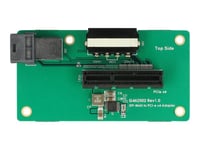 Delock Adapter Sff-8643 > Pcie X4 - Intern Bussförlängare