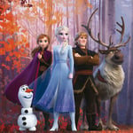Bonninghoff - Tableau Disney - la reine des neiges - Anna, Elsa, Kristoff, Olaf et Sven - 35 cm x 35 cm