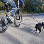 Sykkelfeste til hund, 50-93cm