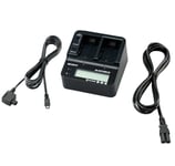 Sony AC-VQV10 laddare / nätadapter