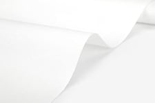 Dailylike Tissus coton, Blanc biologique, 14m