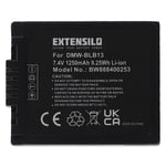 EXTENSILO Batterie compatible avec Panasonic Lumix DMC-G2, DMC-G1WEG-R, DMC-G2A, DMC-G2B appareil photo, reflex numérique (1250mAh, 7,4V, Li-ion)