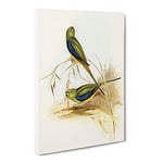 Blue Banded Grass Parakeet Birds By Elizabeth Gould Vintage Canvas Wall Art Print Ready to Hang, Framed Picture for Living Room Bedroom Home Office Décor, 20x14 Inch (50x35 cm)