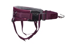 Non-stop Dogwear Trekking belt 2.0 Purple L