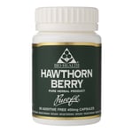 Bio Health Hawthorn Berry - 60 x 450mg Vegicaps