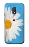 Vintage Daisy Lady Bug Case Cover For Motorola Moto G4 Play