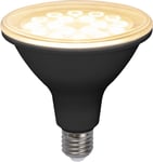 LED-lampa E27 PAR38 Spotlight Outdoor Svart