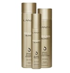 LANZA - Bright Blonde 3-pack