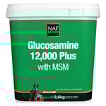 Glukosamin 12.000 plus MSM