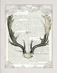 Frame Company Watson Range Regal Antlers on Newsprint II by Sue Schlabach, Frame - A2, White