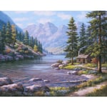 LUOYCXI DIY digital painting adult kit canvas painting bedroom living room decoration painting riverside cottage-40X40CM