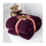 Teddy Bear Throws Blanket for Double Size Bed Chair Sofa Super Soft Warm Cozy Fluffy Large Fleece, 130 x 180 cm, Aubergine
