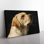 Big Box Art Golden Labrador Dog Vol.1 Painting Canvas Wall Art Print Ready to Hang Picture, 76 x 50 cm (30 x 20 Inch), Black, Gold, Cream