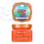 Tree Hut Shea Sugar Scrub Bikini Reef 510 g