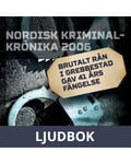 Brutalt rån i Grebbestad gav 41 års fängelse, Ljudbok
