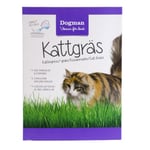 Kattgräs 100g