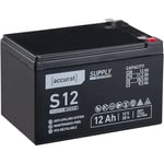 Supply S12 12V Batterie Décharge Lente 12Ah agm Solaire au plomb 151 x 98 x 95 mm - Accurat