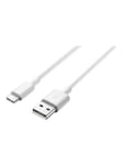 AP51/CP51 Data Cable USB to USB-C White