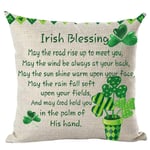 ramirar Happy St. Patrick's Day Green Potted Plant Clovers Heart Word Art Quote Irish Blessing Throw Pillow Cover Case Cushion Home Living Room Bed Sofa Car Cotton Linen Square 18 x 18 Inches