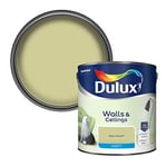 Dulux Walls & Ceilings Matt Emulsion Paint, Melon Sorbet, 2.5 Litres