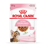 Økonomipakke: 96 x 85 g Royal Canin vådfoder - Sterilised Kitten i sauce
