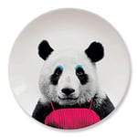 Wild Dining Dinner Plate I Funny Dinner Plate I 100% Ceramic I 9-inch Plate I Funny Plate with Goofy Pet Print I Novelty Tableware | Gift Idea for Students | Dishwasher Microwave and Food Safe-Panda