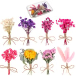 FANTESI 8 Pcs Mini Flower Bouquets Mixed Dried Flower Bouquets for DIY Craft, Card Decoration, Gift Box Filling, Valentines, Wedding, Birthday, Party Decoration