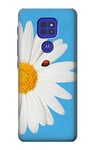Vintage Daisy Lady Bug Case Cover For Motorola Moto G9 Play