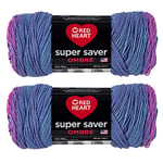 Red Heart Super Saver Jumbo Sweet Treat Lot de 2 paquets de 283 g – Acrylique – 4 moyens (peignés) – 450 m – Tricot/crochet