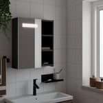 Badeværelsesskab med spejl og LED-lys 45x13x52 sort