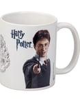 Harry Potter mugg