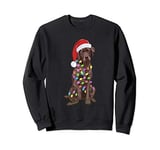Chocolate Labrador Retriever Santa Hat Christmas Lights Gift Sweatshirt
