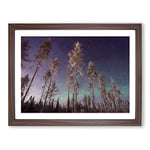 Trees Below The Northern Lights Aurora Borealis In Finland In Abstract Modern Art Canvas Wall Art Print Ready to Hang, Framed Picture for Living Room Bedroom Home Décor, Walnut A3 (46 x 34 cm)