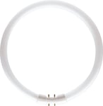 Philips Lysrör Master TL5 Circular 40W / 830