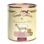 Ekonomipack: Terra Canis 12 x 800 g - Lamm med zucchini, hirs & dill