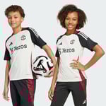 Manchester United Tiro 24 Träningströja