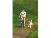 Springer Cykelfäste Svart