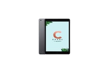 Återanvänd det: Apple iPad 2020 (Betyg C) 128GB, 8:e generationen, Rymdgrå - utan kablar/adapter.