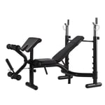 HECHEN Multifunctional Adjustable Weight Bench with Dip Station, Foldable and Tilting Bench Press for Full Fitness Training, Sit up Workout Barbell Dip Station Lifting Chest Press Gym