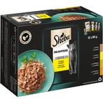 Ekonomipack: Sheba 144 x 85 g portionspåse - Delicatesse in Jelly med fjäderfä
