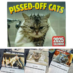 2025 Pissed-Off Cats Kalender Rolig Katt Väggkalender Katt Väggkalender 2025 Kalender Katt Skrivbords kalender