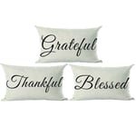ramirar Set of 3 Black Word Art Grateful Thankful Blessed for Thanksgiving Day Decorative Lumbar Throw Pillow Cover Case Cushion Home Living Room Bed Sofa Car Cotton Linen Rectangular 12 x 20 Inches