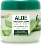 Tabaibaloe Premium Cream Face and Body Greenish white Aloe Vera 300 millilitre