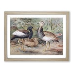 J.G. Keulemans Florican & MacQueen's Bustard Vintage Framed Wall Art Print, Ready to Hang Picture for Living Room Bedroom Home Office Décor, Oak A4 (34 x 25 cm)