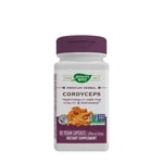Nature's Way - Cordyceps