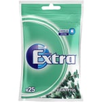 Wrigleys Extra Eucalyptus 29g