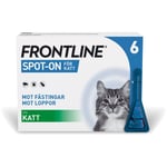 Frontline Vet 100mg/ml Spot-on lösning för katt 6 x 0,5ml