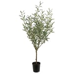 Mr Plant, Olivträd 130 cm Grön