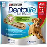 DENTALIFE - Large Batonnets Maxi Pack 426G - Lot De 3 - Offre Special